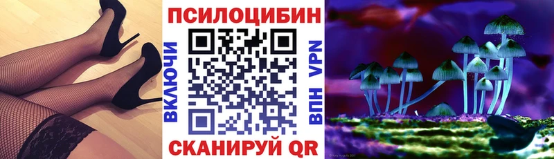 наркотики  Трёхгорный  Галлюциногенные грибы мицелий 